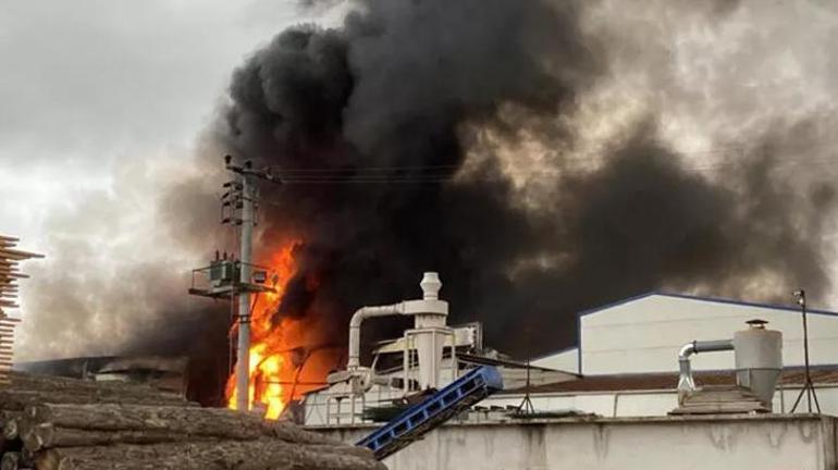 Geri dönüşüm fabrikalarında korkutan yangınlar
