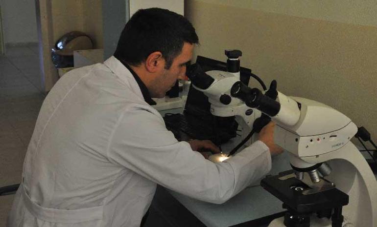 Gümüşhane Üniversitesi öğretim üyeleri, yeni otbiçen türü keşfetti
