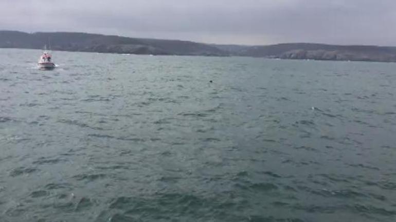 İstanbul Boğazında mayın alarmı Gemi trafiğine yeniden açıldı