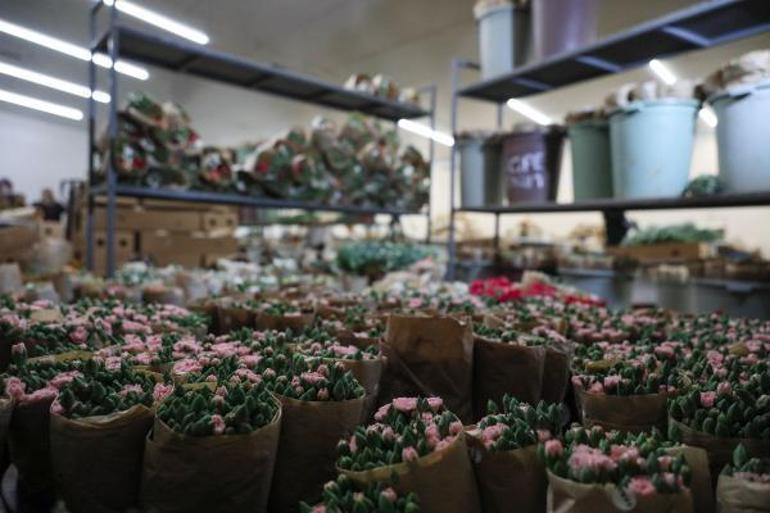 Anneler Günü için Rusya ve Ukrayna dahil 33 ülkeye 70 milyon dallık çiçek ihracatı