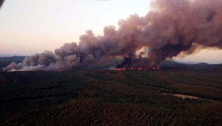 Muğla Marmariste orman yangını Bakan Kirişçi açıkladı: Yangın kontrol altına alınma aşamasında