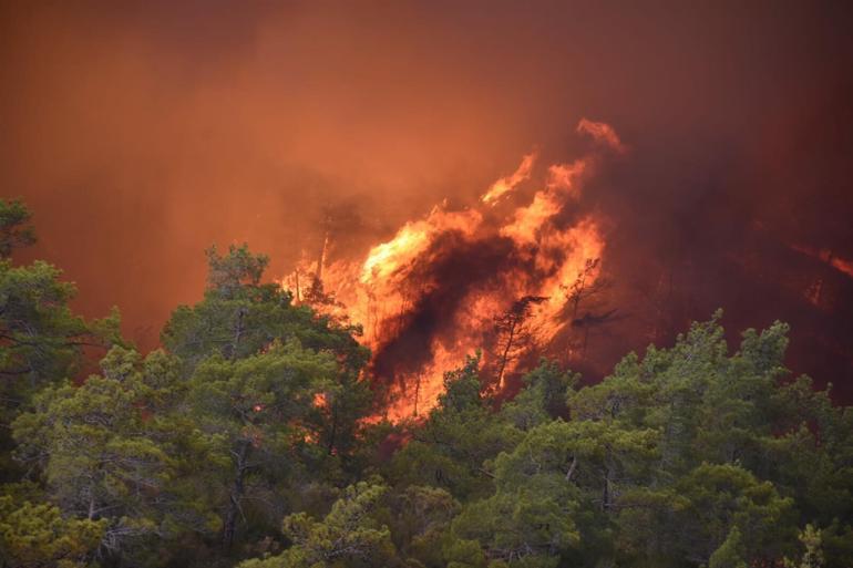 Muğla Marmariste orman yangını Bakan Kirişci açıkladı, işte yangının büyümesinin nedeni...
