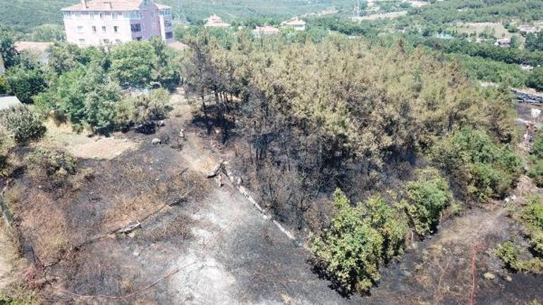 İstanbulda orman yangını Çok sayıda ekip gönderildi