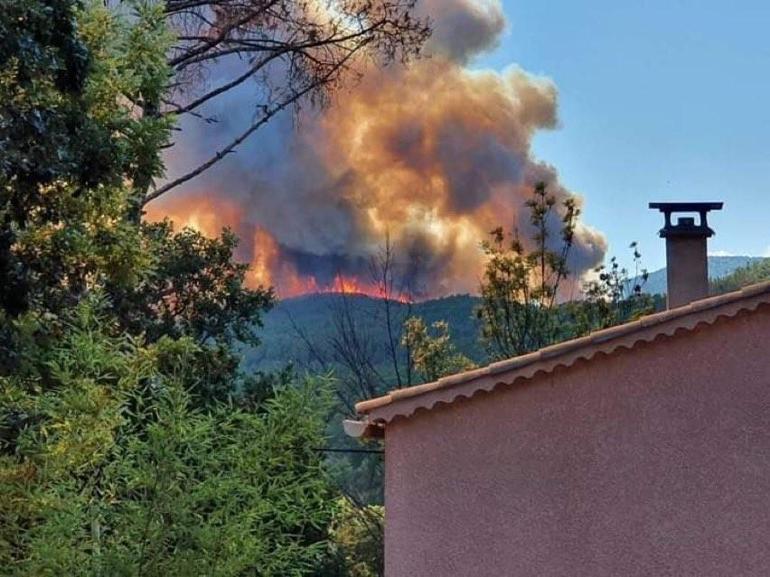 Fransada orman yangını: 620 hektarlık alan kül oldu