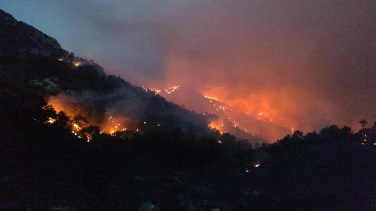 Muğla Datçada orman yangını Korkunç ihmal, nedeni ortaya çıktı