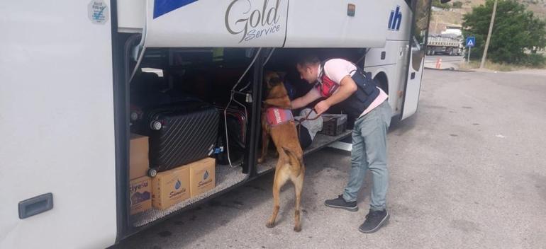 Emniyet, Jandarma ve Sahil Güvenlik eş zamanlı düğmeye bastı Çok sayıda gözaltı var