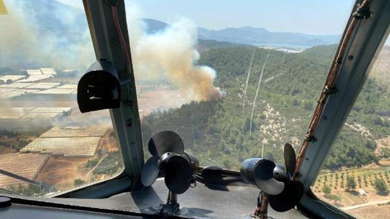 İzmir, Hatay ve Mersinde orman yangını Müdahale ediliyor
