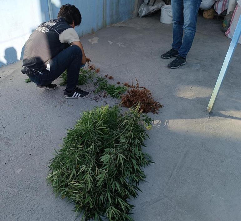 Gaziantepte dev uyuşturucu operasyonu: 20 gözaltı