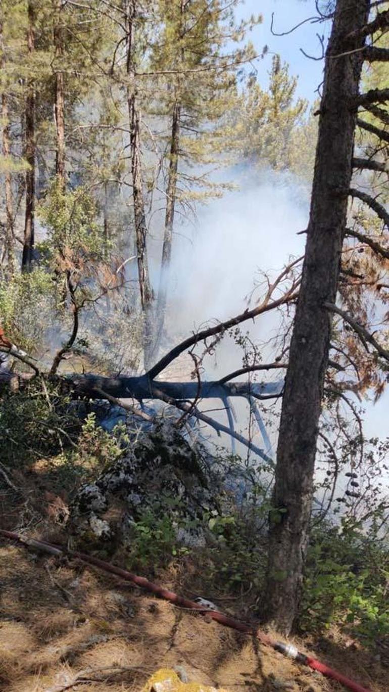 Antalyada çıkan orman yangını, 2 saatte kontrol altına alındı