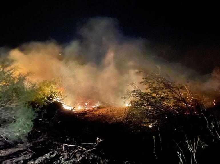 Antalyadaki orman yangınında 15 hektar zarar gördü