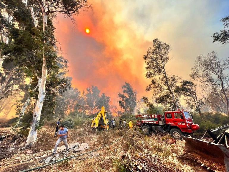 Antalyadaki orman yangınında 15 hektar zarar gördü
