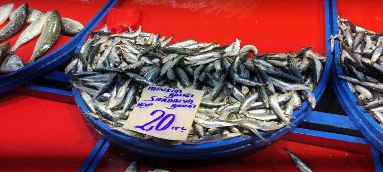 Balık fiyatları düştükçe düştü Kilosu 20 lira
