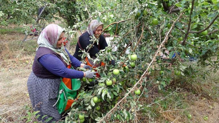 Şehirden köye göç başlattı, işsizliği bitirdi Türkiye’nin en büyüğü