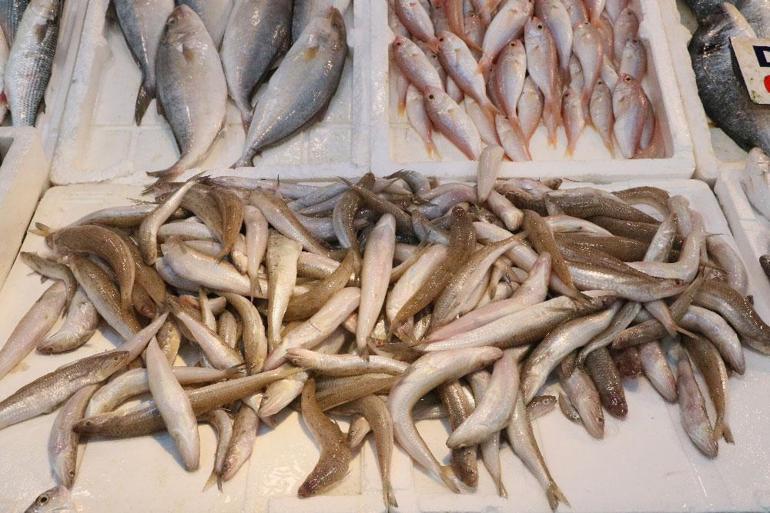 Balık fiyatları düştü İlk 3 aya dikkat