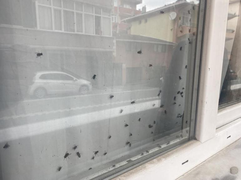 Ceset paniği Camdaki bu görüntü polisi harekete geçirdi