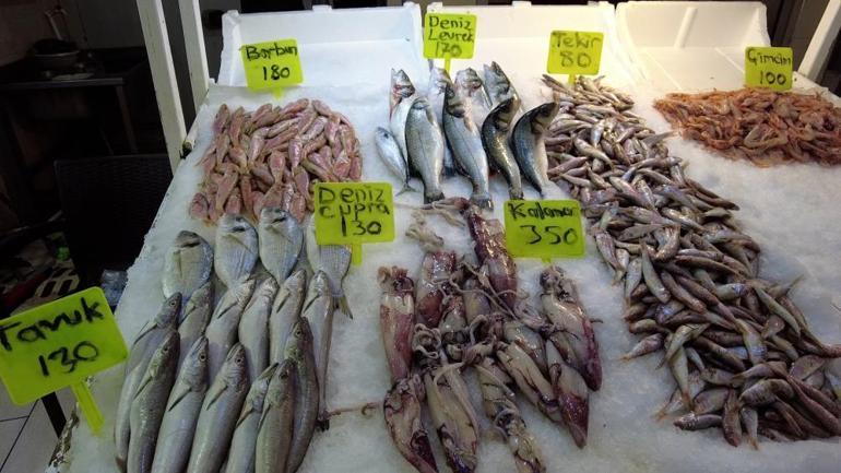 Balık fiyatları yarı yarıya düştü 50 TL oldu