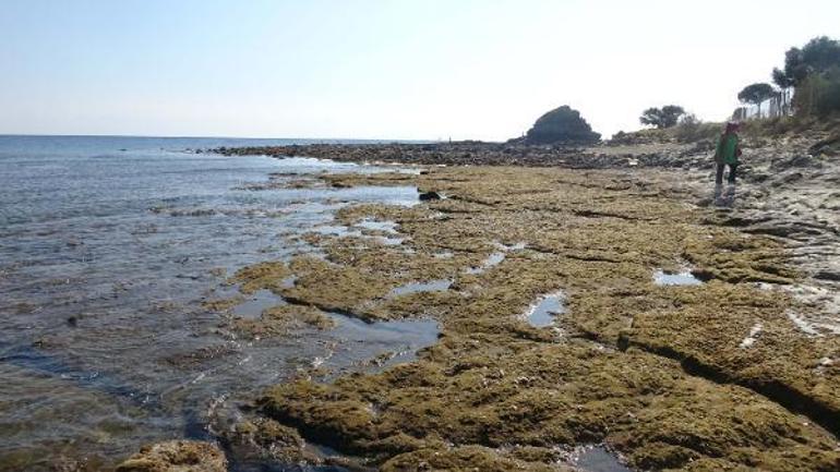 Anamur ve Bozyazıda deniz çekildi