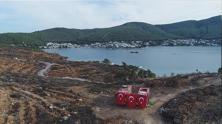 Bodrumda yanan orman alanları, 21 ay sonra yeşerdi