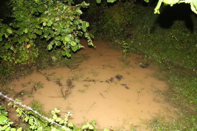 Ordu’da sağanak etkili oldu: Dere taşkını yaşandı, bazı evleri su bastı