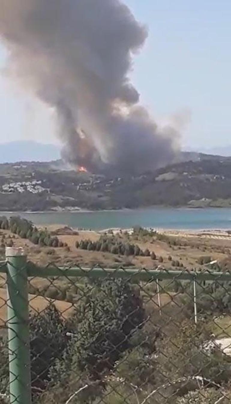 Adanada orman yangını çıktı Çok sayıda ekip bölgede