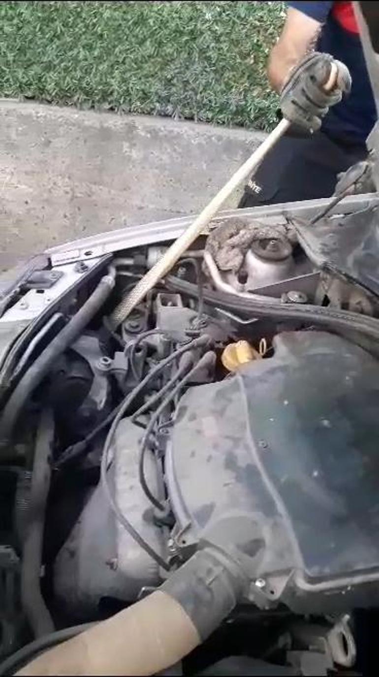 Otomobilin motor kısmından 2 metre yılan çıktı