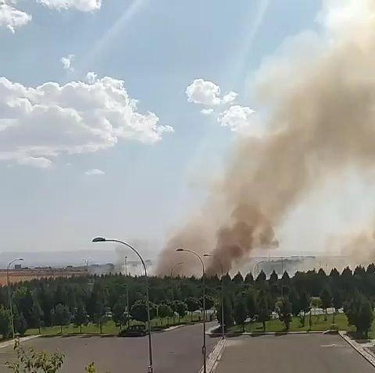 Diyarbakır Havalimanı yanındaki ormanda yangın