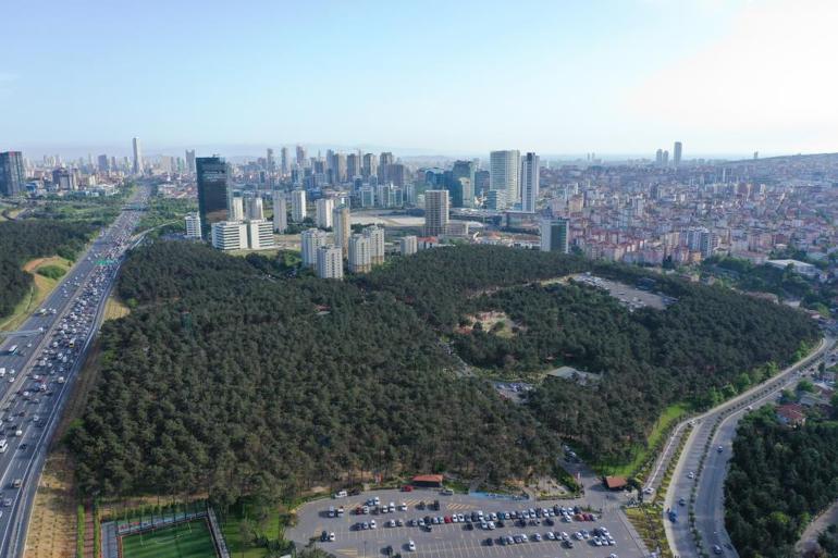 Bakan Özhasekiden millet bahçeleri ile ilgili açıklama: Çalışmalarımızı aralıksız sürdürüyoruz