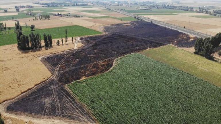 Gizemli yangının nedeni ortaya çıktı 60 dönüm tarım arazisi kül olmuştu