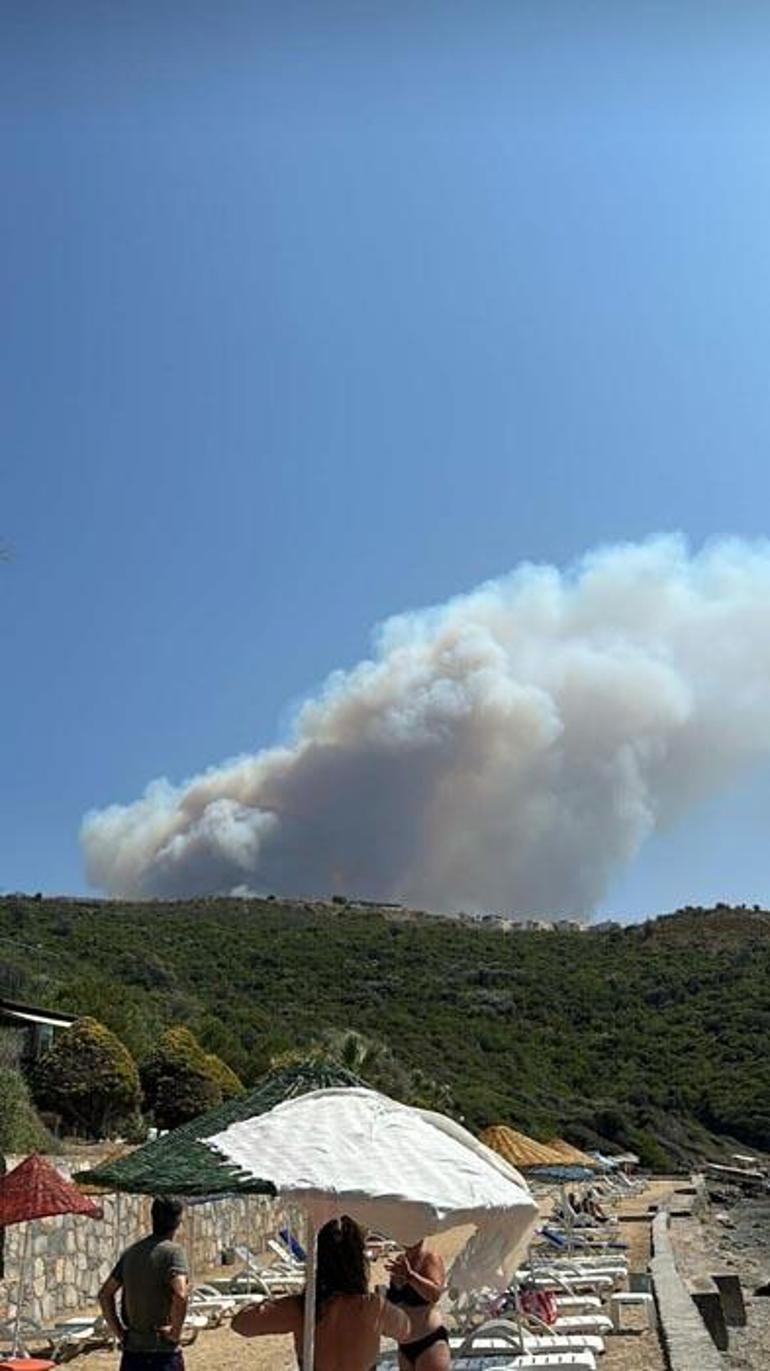 Muğla Milasta  orman yangını çıktı Belediye başkanı son durumu açıkladı