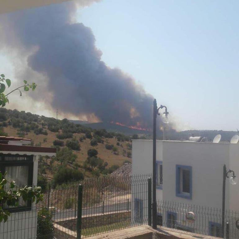 Muğla Milasta  orman yangını çıktı Belediye başkanı son durumu açıkladı