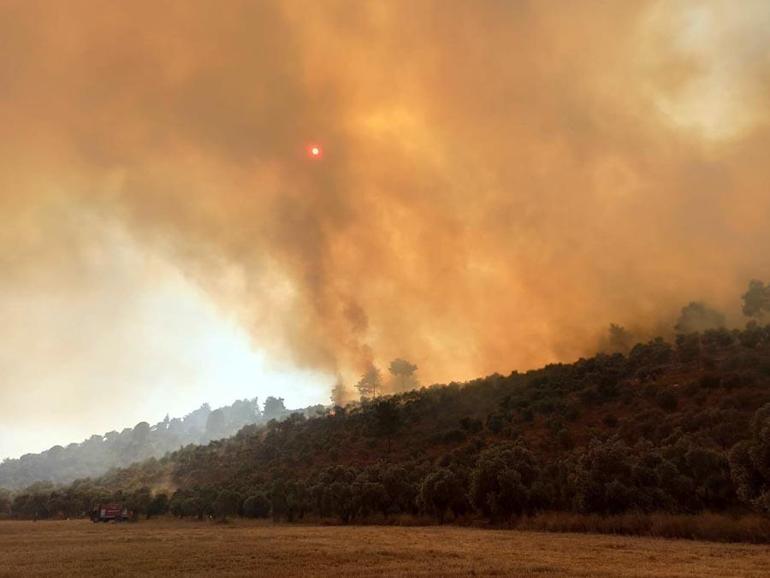 Üç ilden yangın haberleri art arda geldi Tarım ve Orman Bakanı İbrahim Yumaklı son durumu açıkladı