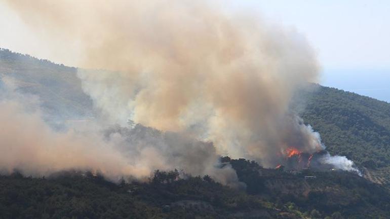 Hatayda orman yangını Bir köy tahliye edildi, müdahale sürüyor