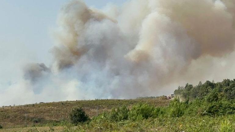 Beykoz ve Sultangazide orman yangını çıktı Çok sayıda ekip bölgeye sevk edildi