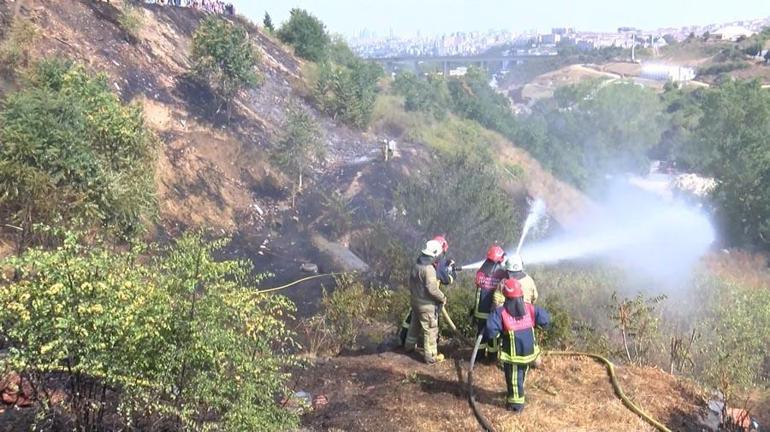 Beykoz ve Sultangazide orman yangını çıktı Çok sayıda ekip bölgeye sevk edildi
