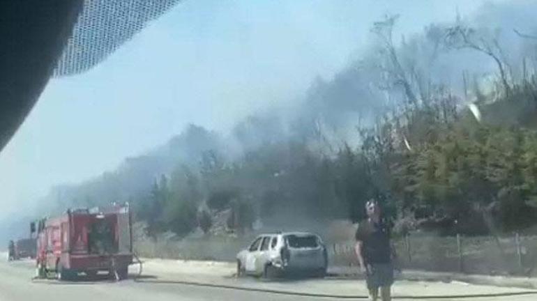 İzmir Güzelbahçede orman yangını Müdahale sürüyor
