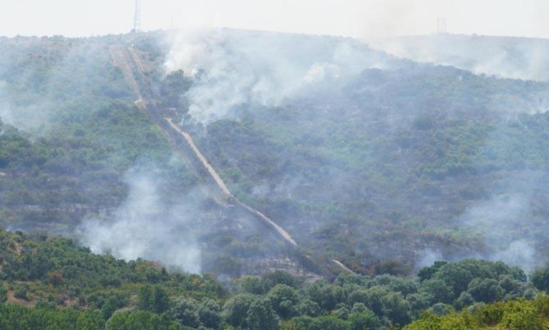 Türkiye- Bulgaristan sınırında ormanda yangın
