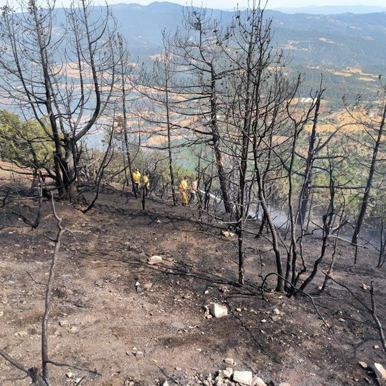 5 ilde orman yangını: Havadan ve karadan müdahale ediliyor