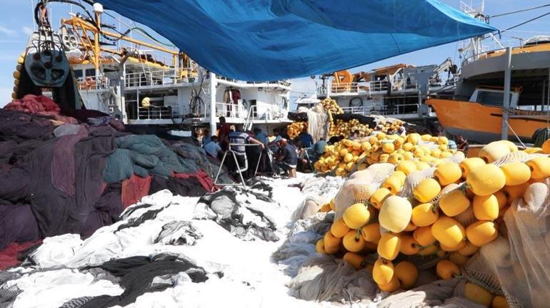 Balık fiyatları halde 20 lira tezgahta 100 lira 5 katı fark balıkçıları isyan ettirdi: Fiyatları düşürün...