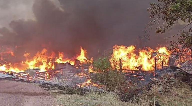 Kastamonuda köyde yangın felaketi 40 ev ve ahır alevlere teslim oldu