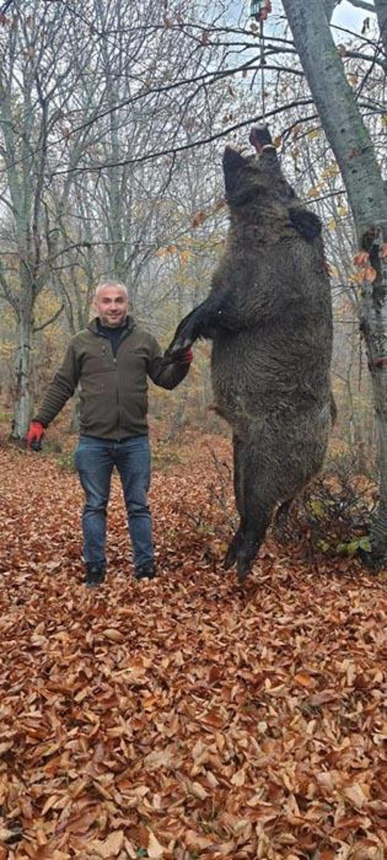 Vatandaşlara korku yaşattı avcılar yakaladı: Tam 459 kilo ağırlığında