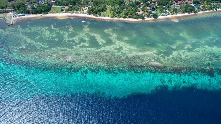 Su ürünlerinde endişeye yol açtı Yapay resiflerde istilacı tür tehlikesi devam ediyor