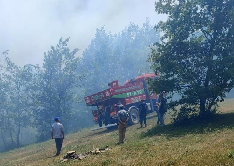 5 ilde orman yangını Ekipler müdahale ediyor