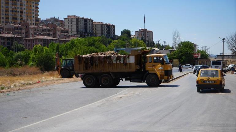 Bayrama yakışmayan görüntüler: Gaziantepte yol kenarlarına atılan hayvan atıkları tepki topladı