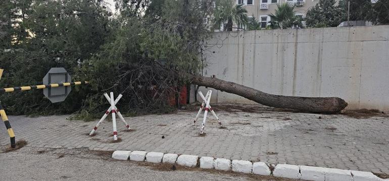 Gaziantepte fırtına: Fıstık ağaçları zarar gördü