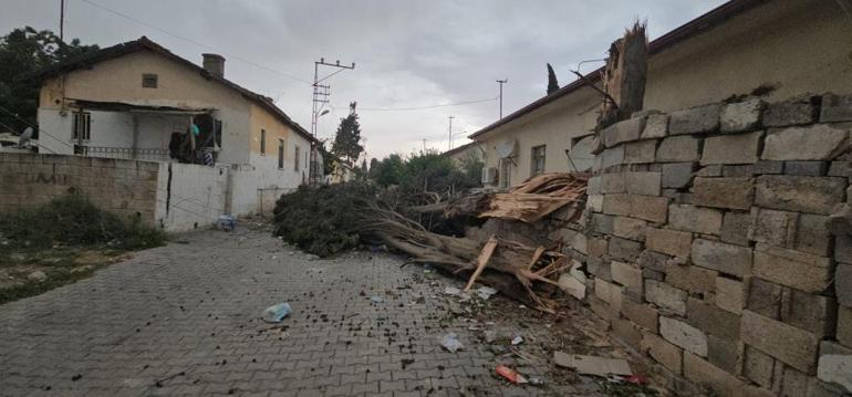 Gaziantepte fırtına: Fıstık ağaçları zarar gördü