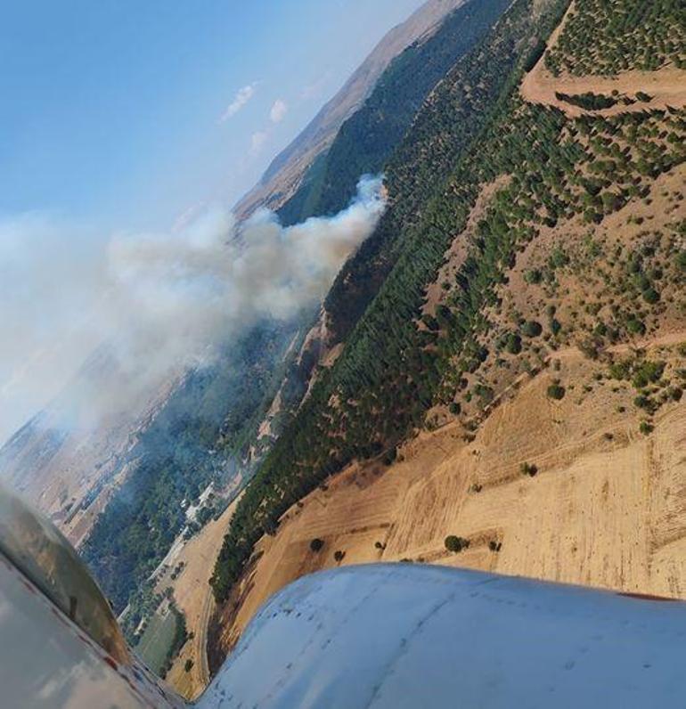 Balıkesir ve Hatayda orman yangını Havadan ve karada müdahale başladı