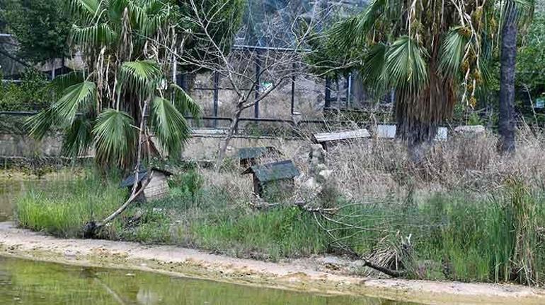 Adanada göç yolu üzerinde bulunan Kuş cenneti sessizliğe büründü: Adanaya ayrı bir renk katıyordu