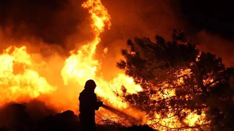 Ciğerlerimiz yanıyor Yurdun dört bir yanı alevlere teslim oldu, işte orman yangınlarında son durum