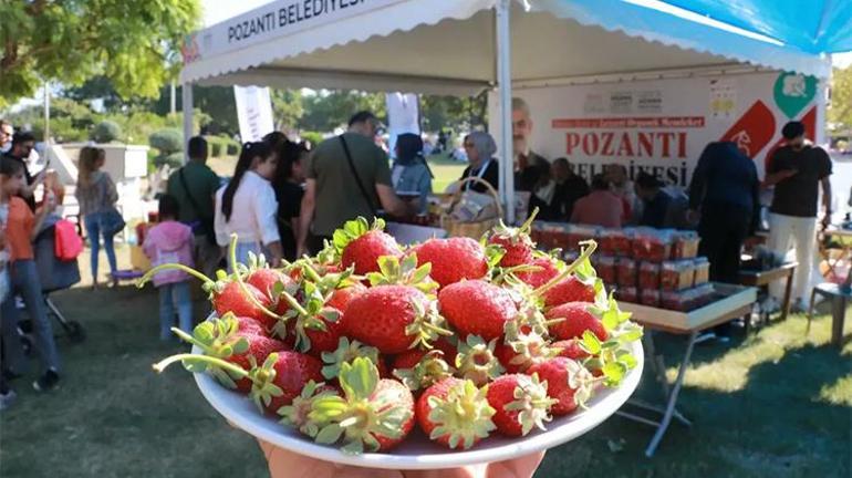 Adana Lezzet Festivaline damgasını vurdu: Pozantı çileği kapış kapış gitti