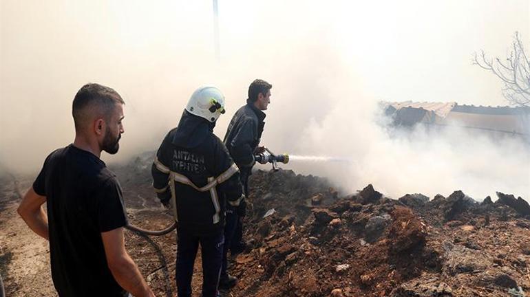 Antalyada elektrik telleri ağılın üzerine düştü: 50ye yakın keçi ve koyun telef oldu